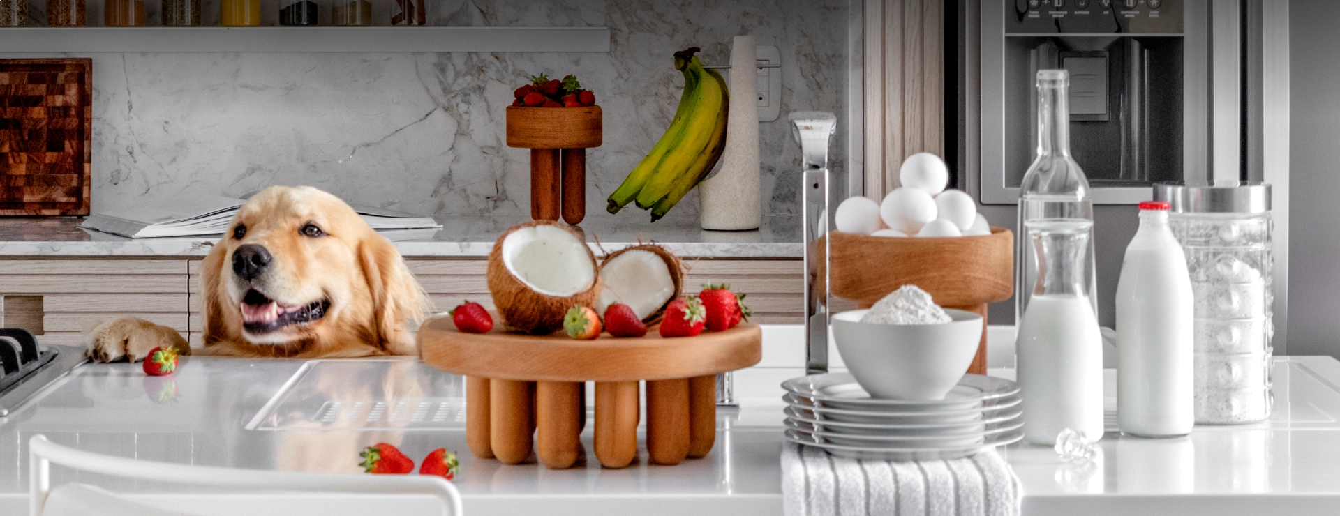 Banner 1 - Principal beta HOME