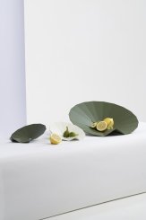 Coleção Wagasa - Escultura Funcional