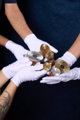 Coleção Regina, Cabideiro