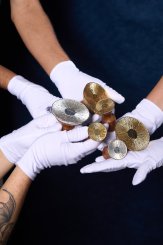 Coleção Regina, Cabideiro