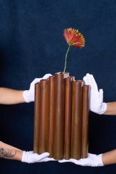 Coleção Vera, Vasos