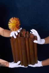 Coleção Vera, Vasos