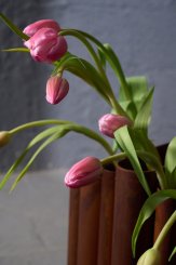 Coleção Vera, Vasos