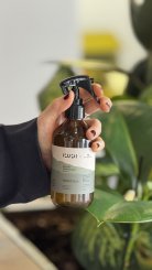 Home Spray, Bruma Perfumada Tropicália, Blend N.2