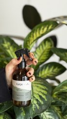 Home Spray, Bruma Perfumada Tropicália, Blend N.2