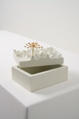 DPT014, Caixa Escultura Araucária