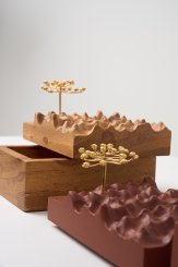 DPT014, Caixa Escultura Araucária