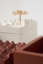 DPT014, Caixa Escultura Araucária