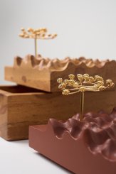 DPT014, Caixa Escultura Araucária