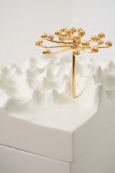 DPT014, Caixa Escultura Araucária