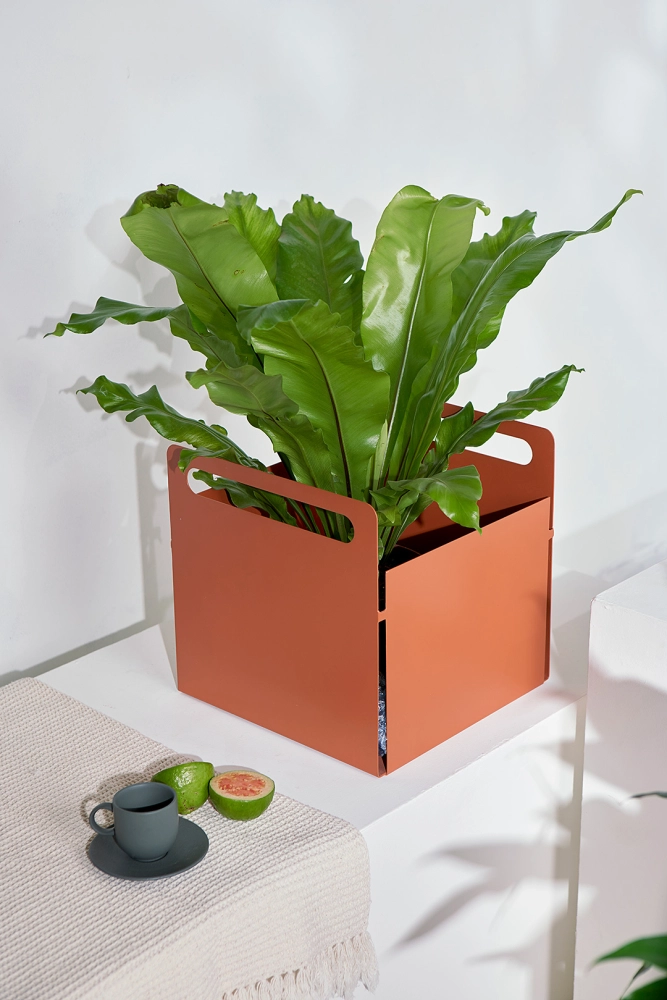 Coleção Joy, Cesto