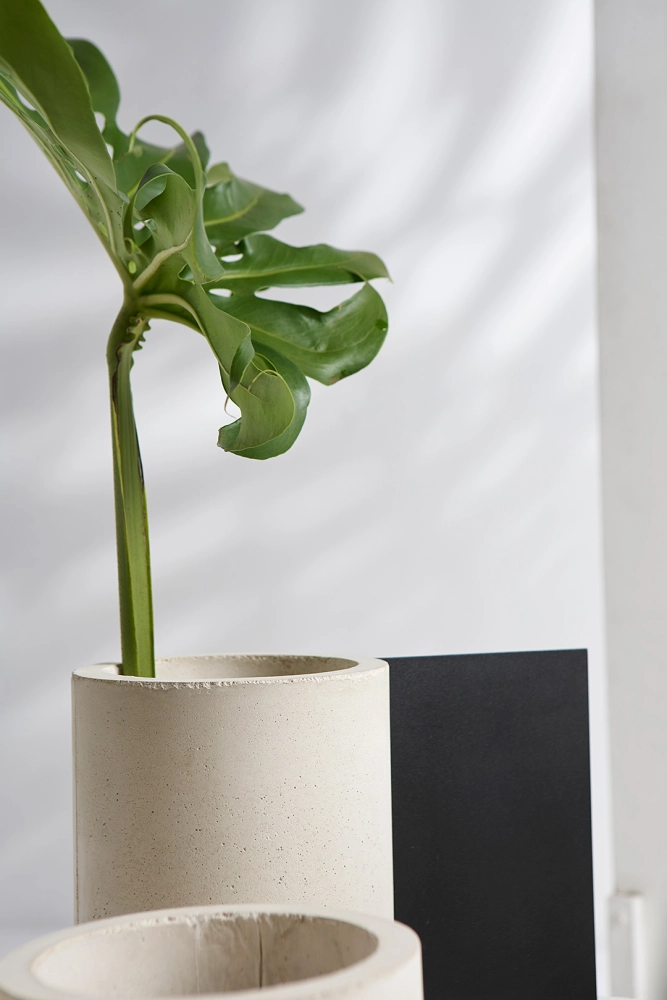 Coleção Tag - Vaso (Und.)